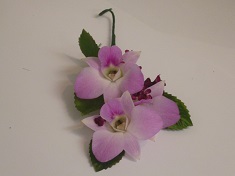 corsage orchid